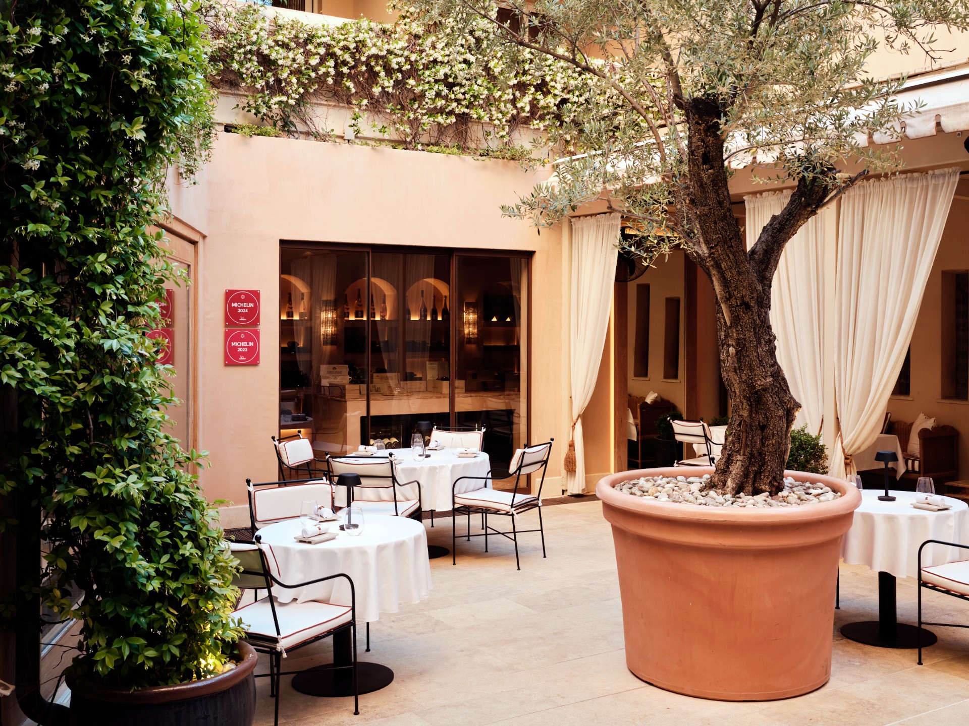 The courtyard at Patio: terracotta walls, climbing green, white-clothed tables and a mature olive tree in a terracotta pot at the centre.